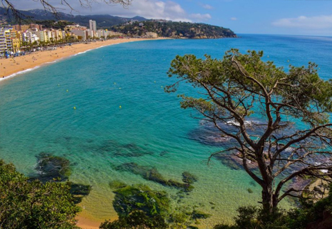 Picnic en Maresme